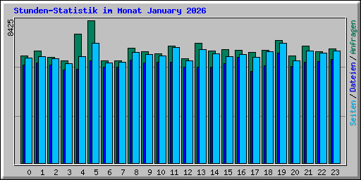 Stunden-Statistik im Monat January 2026